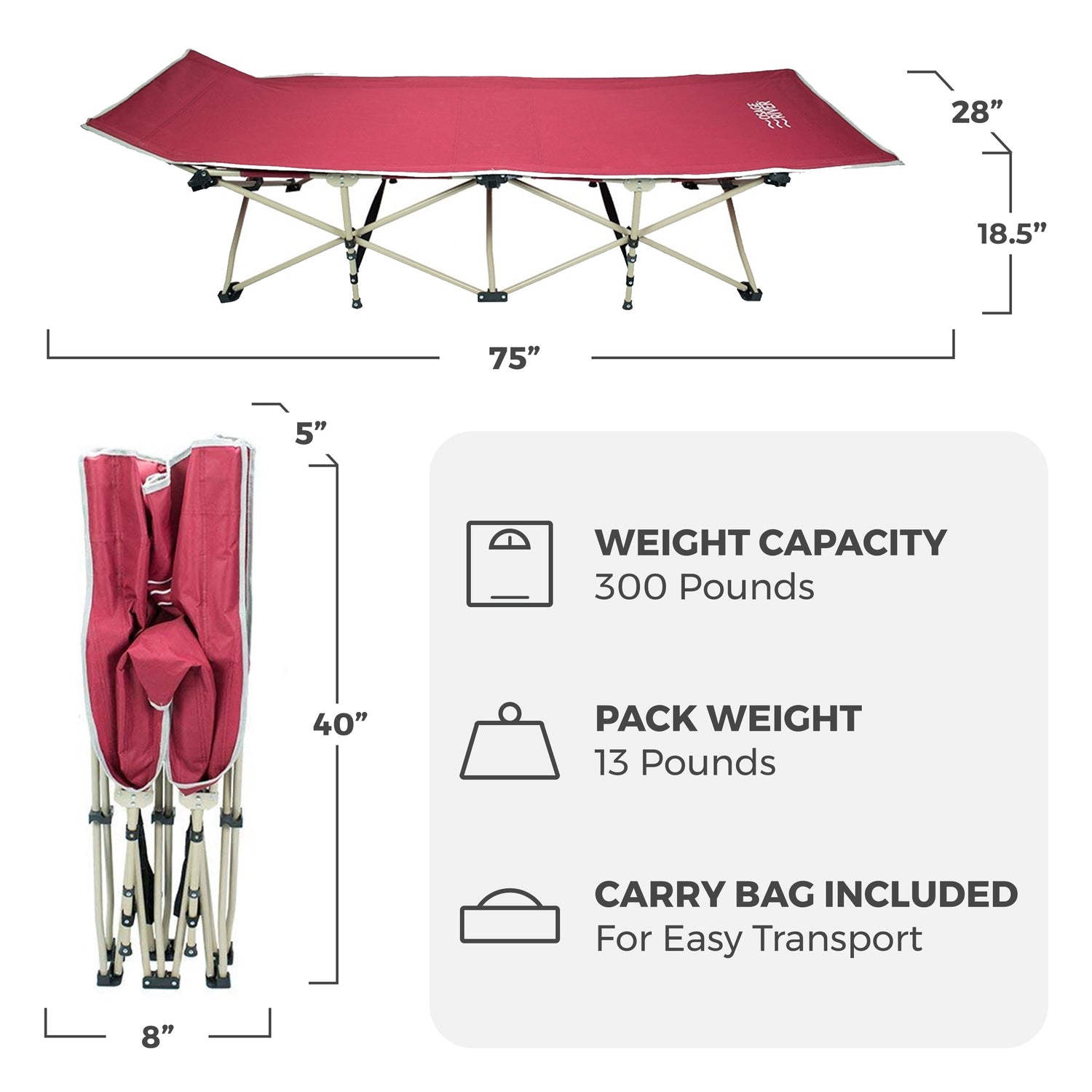 Lightweight Camping Cot w/Carrying Case