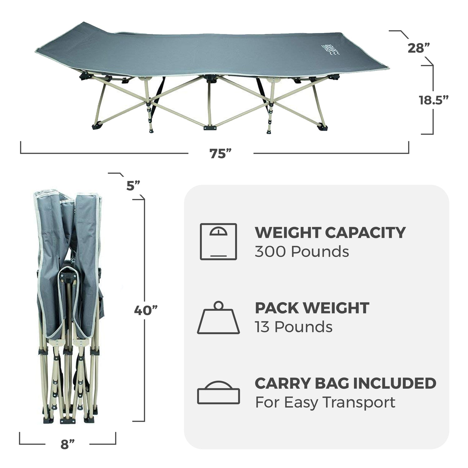 Lightweight Camping Cot w/Carrying Case