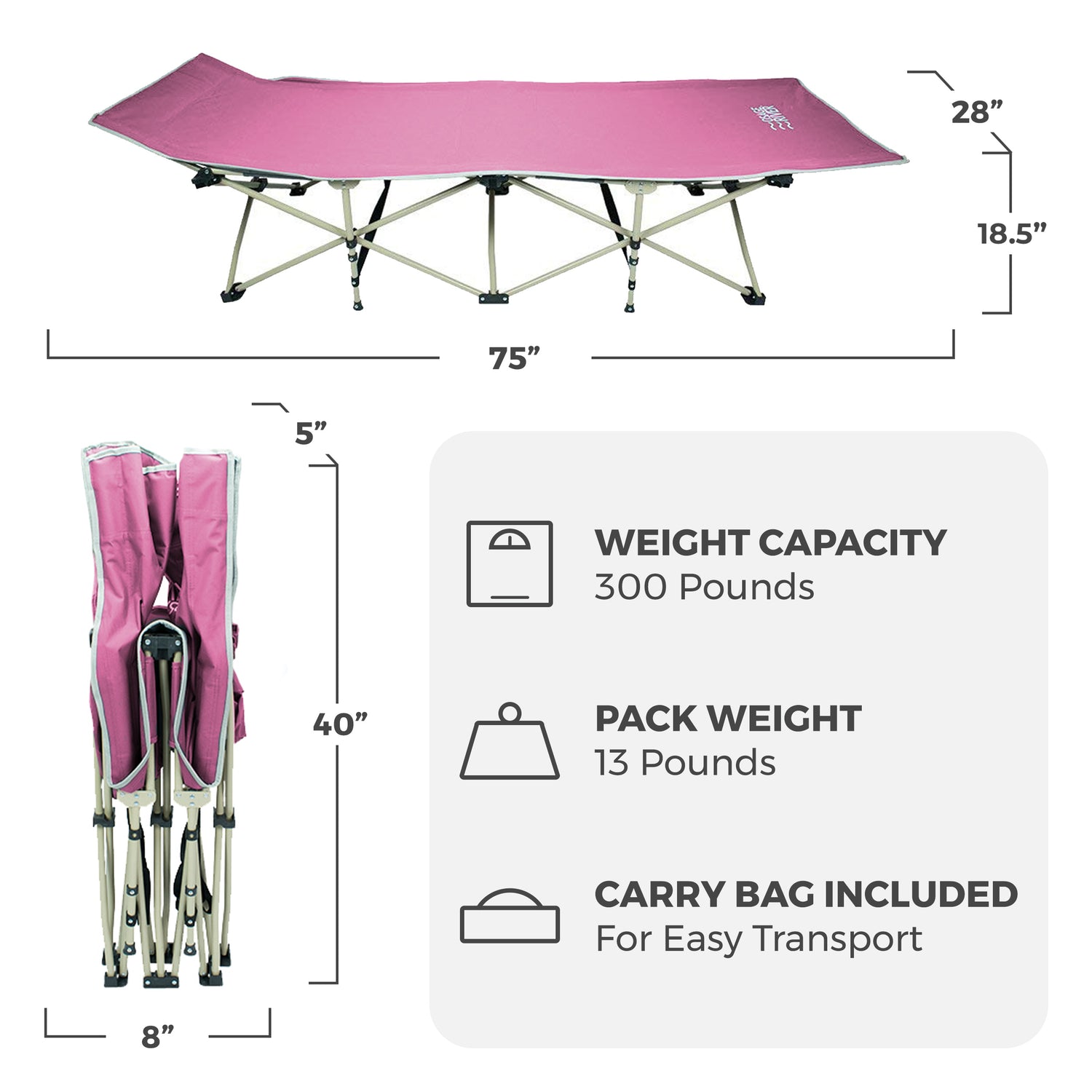 Lightweight Camping Cot w/Carrying Case