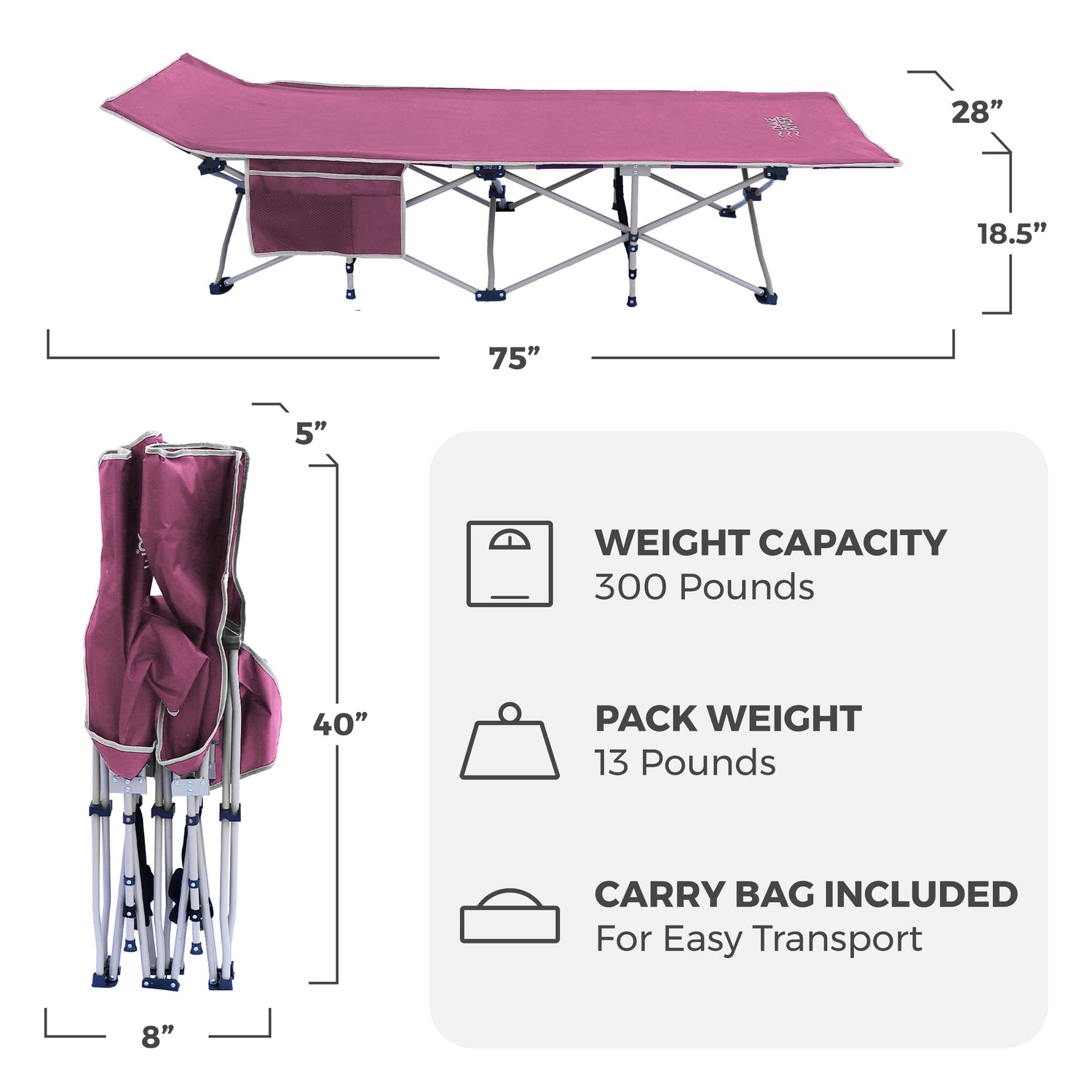 Lightweight Camping Cot w/Carrying Case